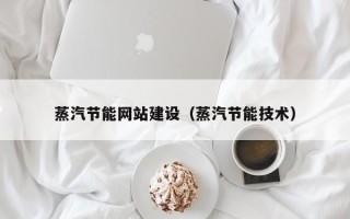 嘉兴蒸汽节能网站建设（蒸汽节能技术）